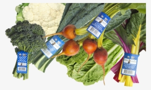 Whole Veggies - Vegetable #1459317 Whole Veggies - Vegetable #1459317