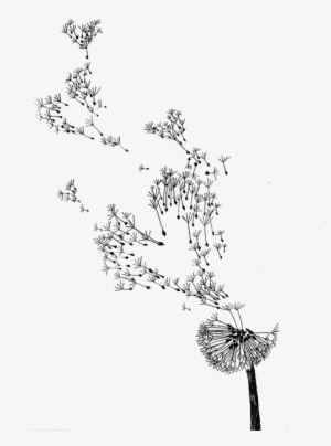 Common Fashion Illustration Watercolor - Dandelions Sketch #1459467