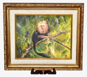 Tamarin Monkey Framed Painting - Picture Frame #1459922
