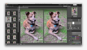 My 10 Favorite Filters In Onone's Perfect Effects - Autumn #1460078