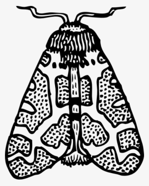 Moth Wings Closed Clip Art Free Vector - Moth Clipart Black And White #1460787