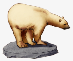 A Bear - Brown Bear #1460900