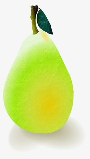 Pear Png #1463069