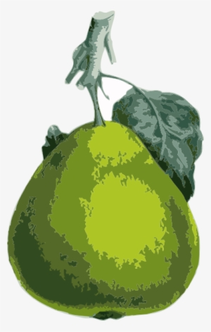 How To Set Use Pear Clipart #1463305