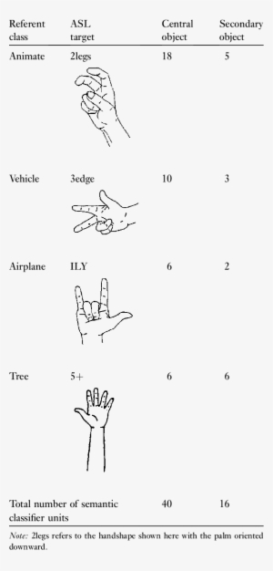 ''semantic'' Classifier Handshape Targets In Vmp Task - Classifier Handshape #1463456