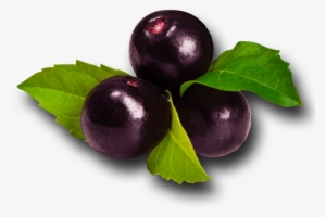 A Ai Noble Drinks - Açai Berry #1463678