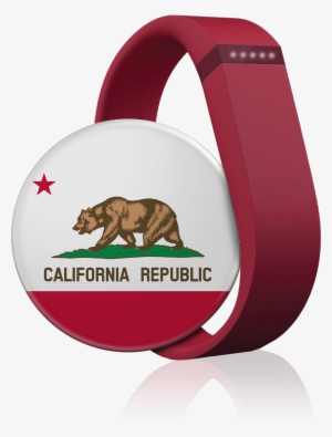 To Enter Our Free Raffle, Please Provide The Following - Punxsutawney Phil #1463679