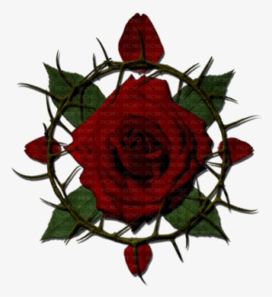 Rose Thorns Png Png Download - Forsaken With Purpose This Is My Story #1464061