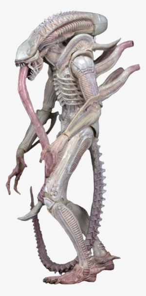 Albino Xenomorph - Alien Albino Neca #1464547