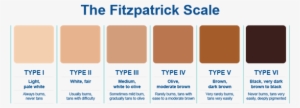 Fitzpatrick Color Chart - Racist Skin Tone Chart #1464718