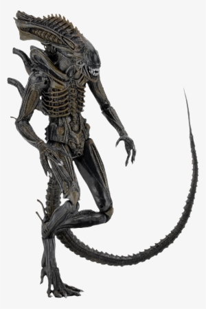 Aliens - - Neca Alien Defiance Xenomorph #1464834