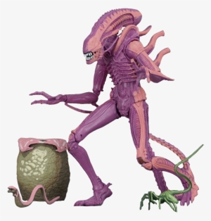 Xenomorph Warrior Arcade Appearance 9” Action Figure #1464945