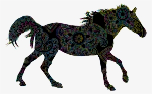 Arabian Horse American Paint Horse American Quarter - Horse Silhouette Free Png #1464968