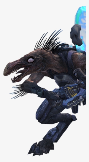 Haloreach - Jackal - Jackal Halo Reach #1465490