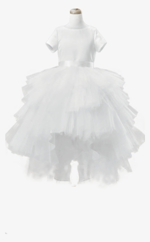 Pixie Dust - Ballet Tutu #1465581