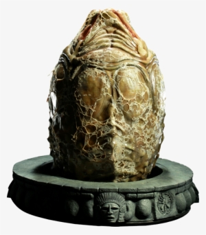 Alien Egg - Alien Vs Predator Egg #1465812