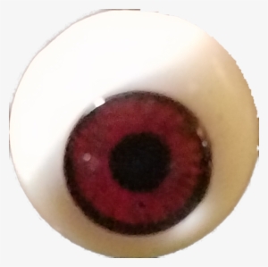Isbee - - Close-up #1466048