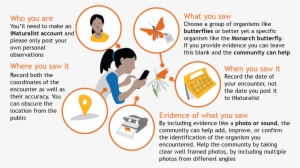 This Includes Encounters With Signs Of Organisms Like - Observation In Science #1467094