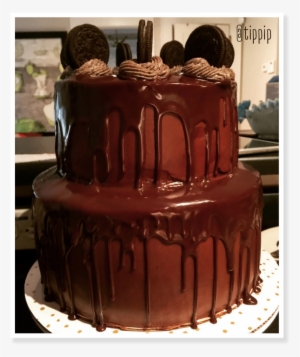 So You Can Imagine My Excitement When Tippi Came To #1467457