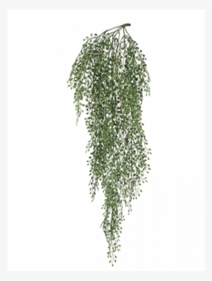 Hanging Plant For Screen #1467808