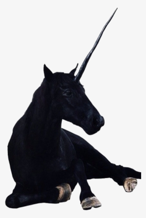 Tumblr Collage Stickers Png Download - Olaf Nicolai La Lotta #1467876