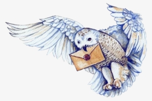 Hedwig Drawing - Cartoon Hedwig #1468012