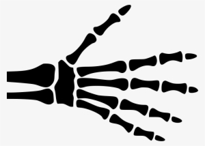 Hand Skeleton - - Skeleton Hand Svg File #1468133