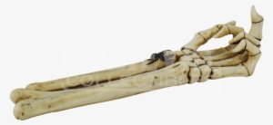 Hand Incense Burner #1468715