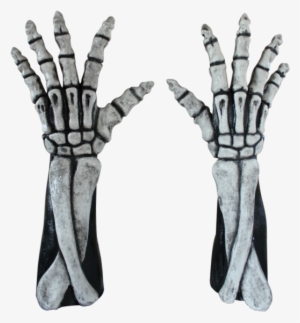 Skeleton Arms Reaper Style - Long Skeleton Hands White - Costume Accessories Halloween #1468818