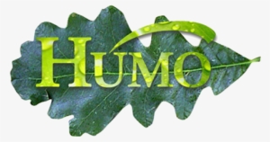 Logo #1468926