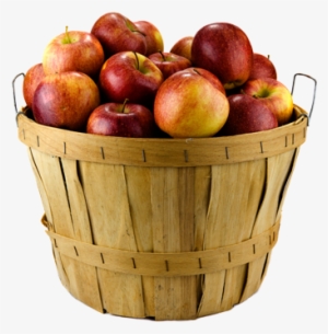 Family Owned Orchard & Bakery - Landluft Für Anfänger - 12 #1469184