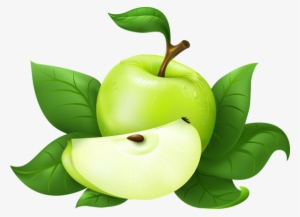 Green Apples - Clipart Library - Clipart Library - Green Apple Vector Png #1469351