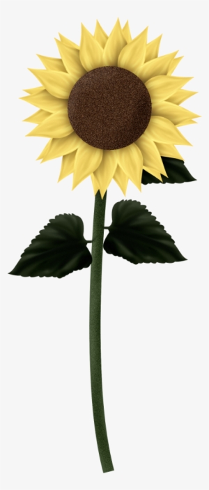 Download Sunflowers Png Clipart - Tall Sunflower Transparent #1469831