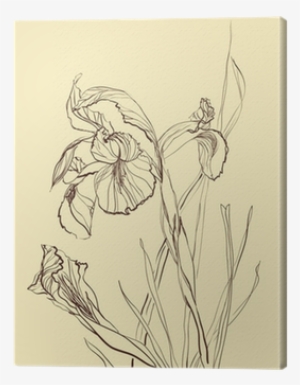 Collection Of Free Download On Ubisafe Brush - Flower #1469980