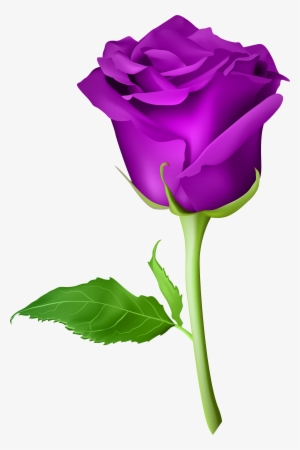 Purple Rose Clip Art #1470118