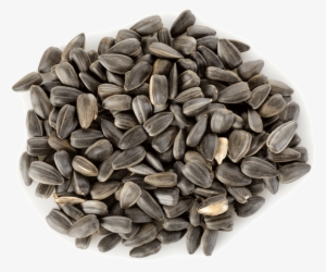 Sunflower Seeds Png Hd - Linwoods Organic Milled Sunflower & Pumpkin Mix #1470145