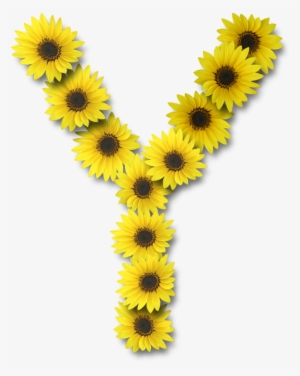 Alfabeto Sunflowers Y Alpha Flowers Pinterest - Sunflower Letter Y #1470456