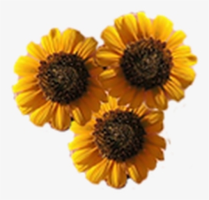 Picture - Artificial Flower #1470563