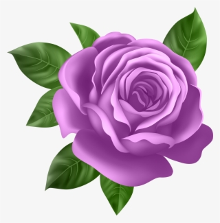 Purple Rose Transparent Png Clip Art - Purple Rose Clipart #1470693
