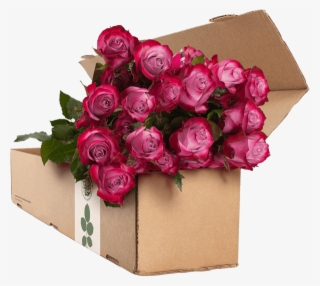24 Purple Roses - Flower Delivery #1470986