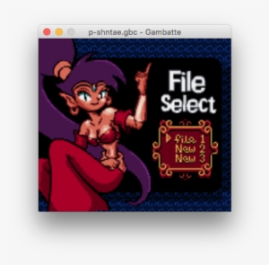 Gbc - Shantae #1471189