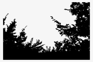 Vegetation Silhouette #1471400