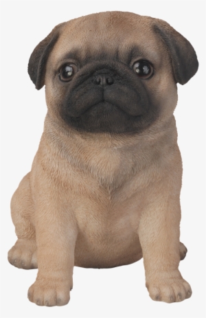 Pet Pal Pug Puppy - Sitting Pug #1471577