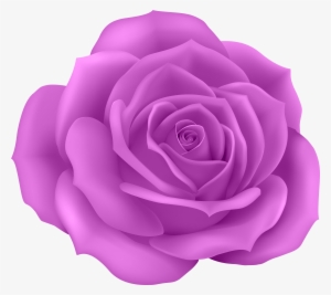Rose Purple Clip Art Png Image Gallery Yopriceville #1471603