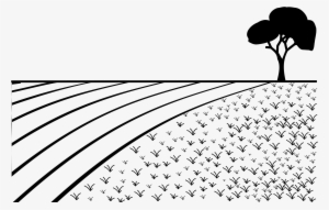 Silhouette Of Field - Photography #1471713