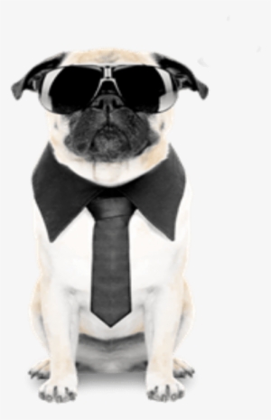 Funny Happy Birthday Father #1471893