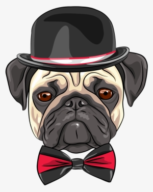 Cães & Gatos - Youtube Profile Picture Pug #1472594