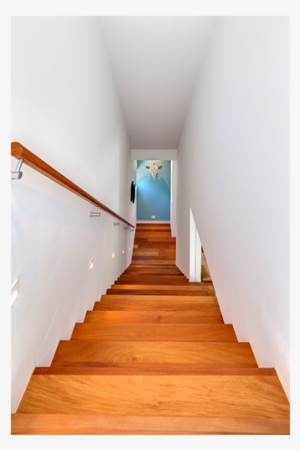 Tags - Sarasota #1475120