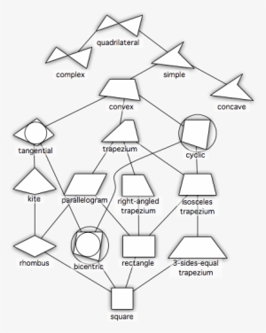 Http - //image - Absoluteastronomy - Hierarchy - Png - Quadrilateral Hierarchy #1475166