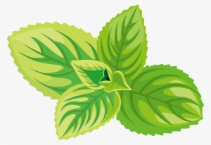 Png Black And White Download Herb Sticker Label Green - Peppermint Icon #1476011